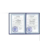 Качин В. В. — Свидетельство об окончании интернатуры